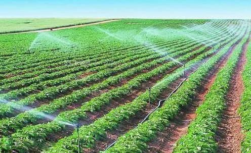 乱伦内射农田高 效节水灌溉